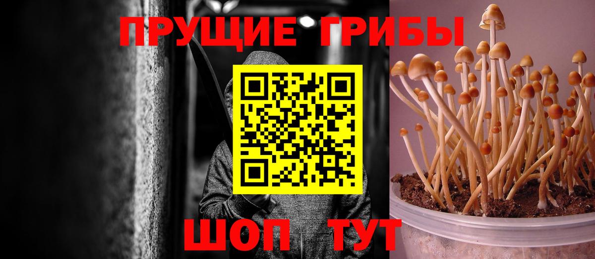 Галлюциногенные грибы мицелий  Вход с VPN  Псилоцибиновые грибы MAGIC MUSHROOMS  Кстово 